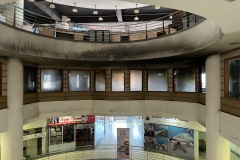 IMG_6810-1