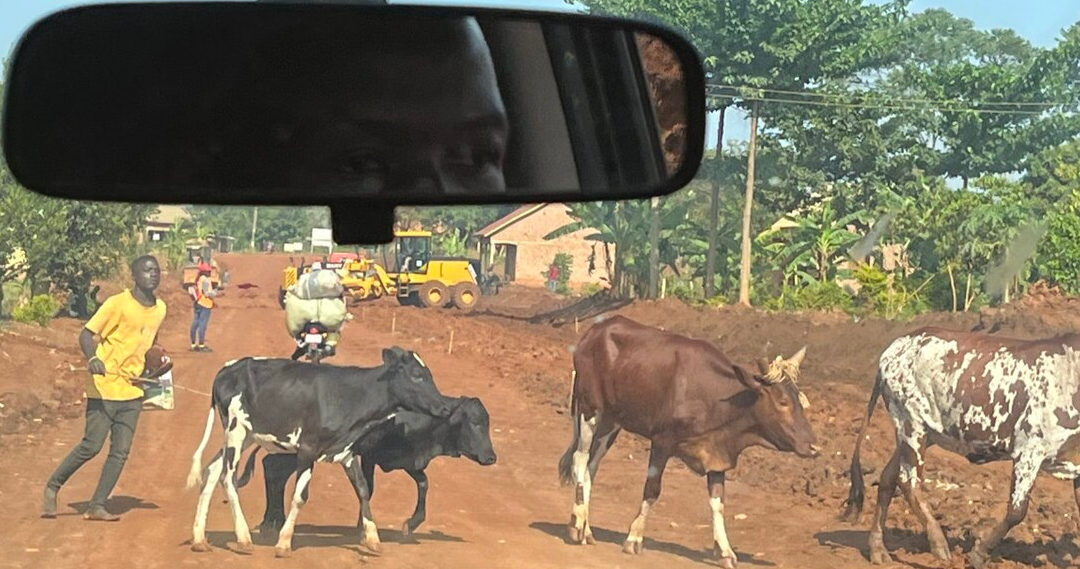 Trips To Uganda