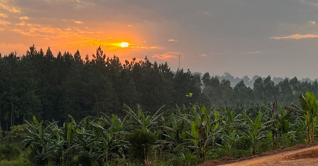 Uganda July 2024
