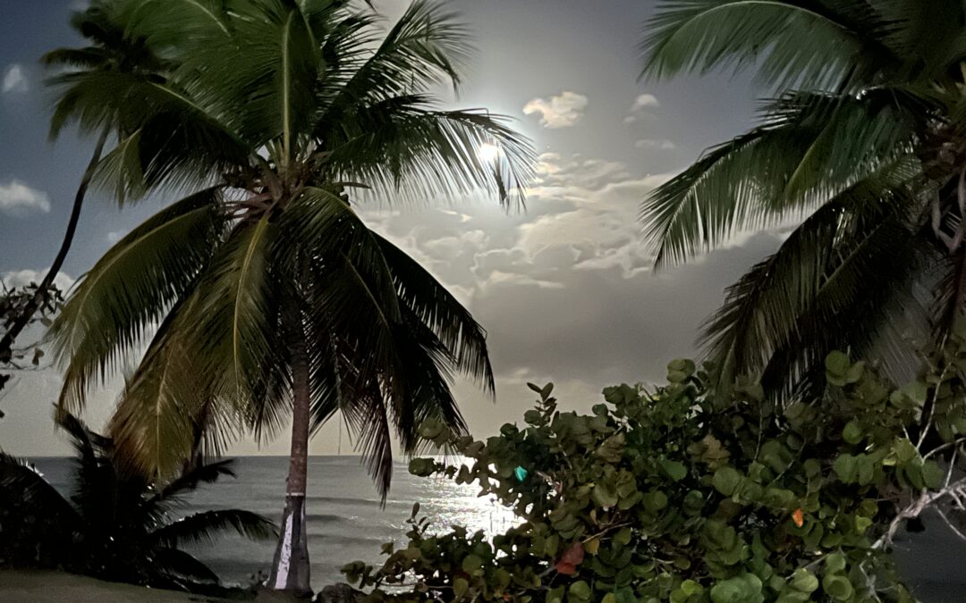 Puerto Rico February-March 2025